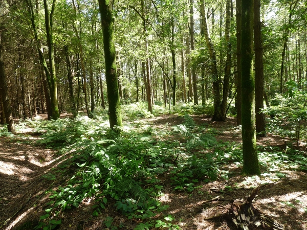 uitzoeken 082