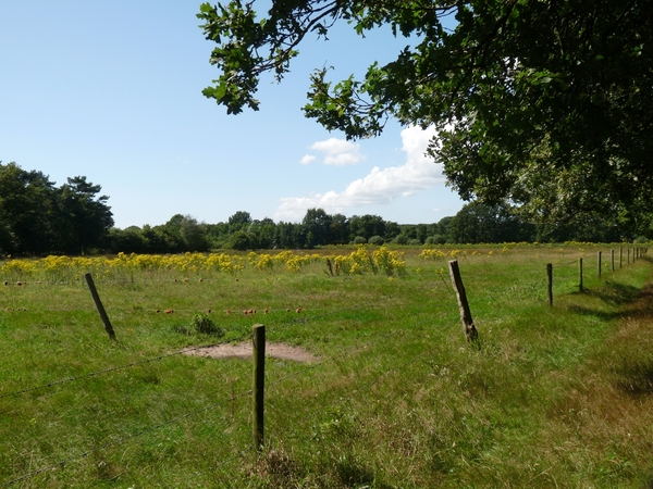 uitzoeken 089