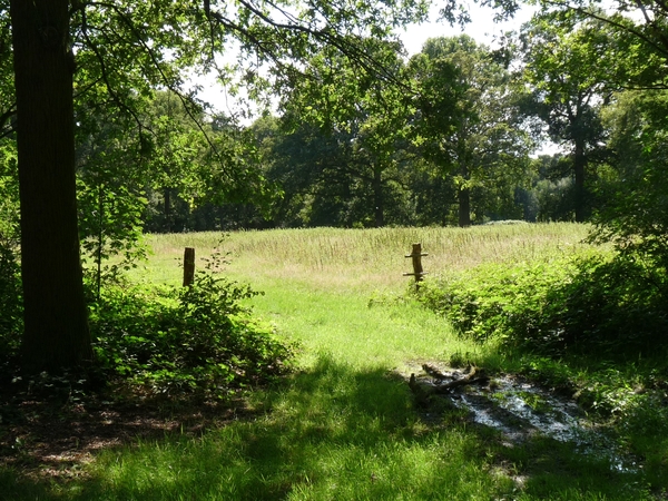 uitzoeken 097