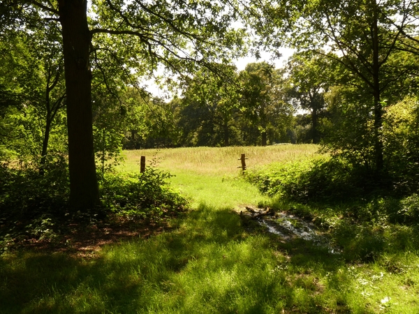 uitzoeken 098