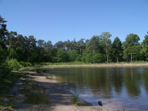 Vlasrootven 3