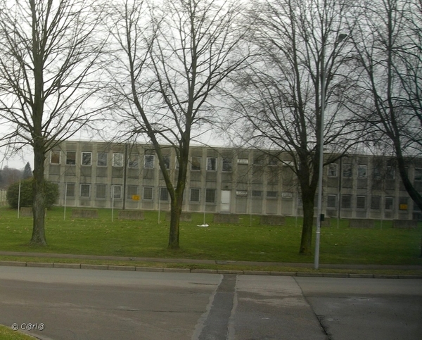 2011-02-16 Sennet Shape (14)