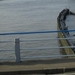 Te veel water is ook nie goe