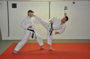 Karate 1 stop zinloos geweld