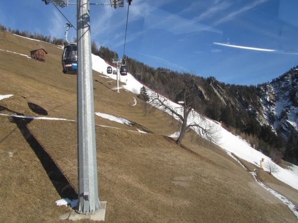 20110204 184 Piculin