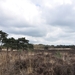 kalmhoutse heide