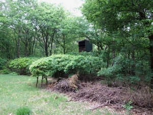 Jachthut op landgoed Groenouwe