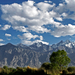 MET UITZICHT OP DE LADAKH RANGE