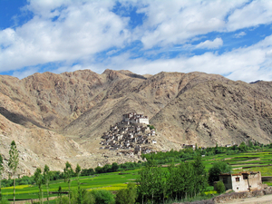 IN DE VERTE DE GOMPA VAN CHEMRE