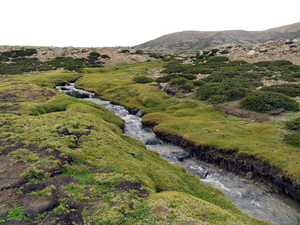 SOMS SNIJDEN BERGSTROOMPJES DOOR HET LANDSCHAP