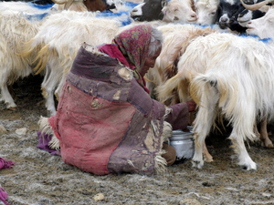 OUDE VROUW MET HEEL WARME KLEDING