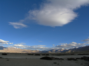 PANORAMA OVER DE ZANDERIGE VLAKTE