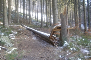 Voorber (16)