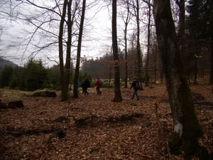 2011-02-19 KKT Hellewandeling 013