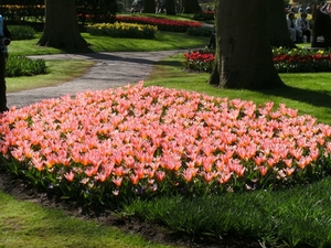 BILD0054