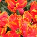 BILD0091
