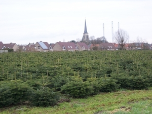 061-Vergezicht op velden en kerk in Haasdonk