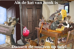 ALS DE KAT VAN HONK IS