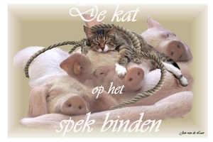 DE KAT OP HET SPEK BINDEN