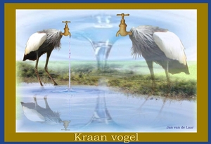 KRAANVOGEL