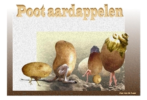 POOTAARDAPPELEN