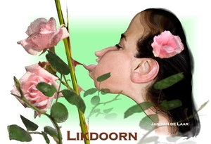 LIKDOORN