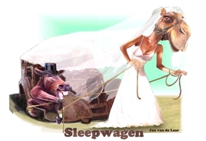 SLEEPWAGEN