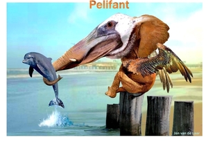 PELIFANT