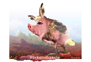 VARKENSHAASJE