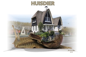 HUISDIER