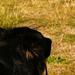 31-08-09 (70)