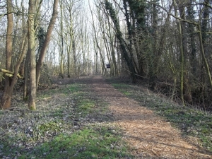 WANDELPAD