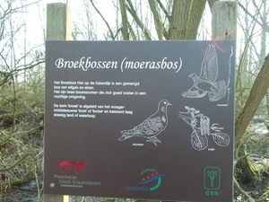 BROEKBOSSEN ( MOERASBOS )