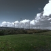 test 027_5_6wolk2