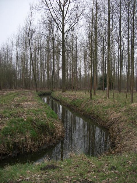 43-Polder in Vlassenbroek