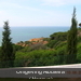 DSCN0325