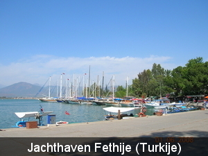 DSCN0130