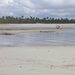 Boipeba