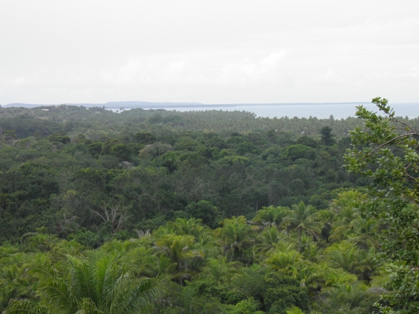 Boipeba