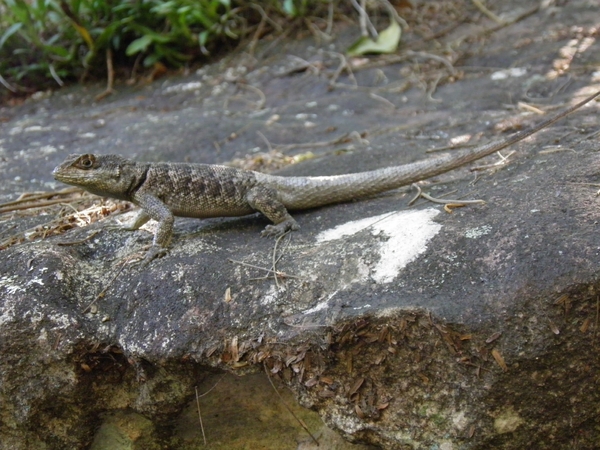 Chapada Diamantina