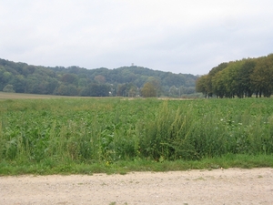 Oud Valkenburg 2 65 jaar 012