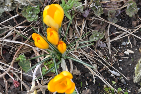 032