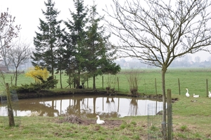 001 KUIEREN IN HET LEUKE PAJOTTENLAND.....