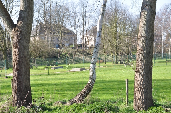 050