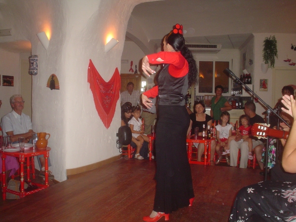 Flamenco  2008 003