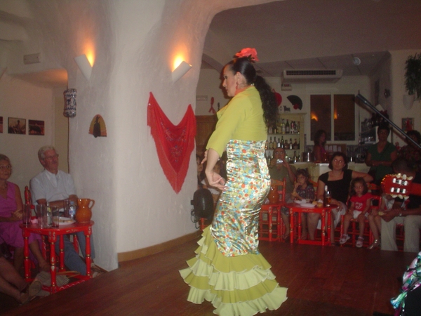 Flamenco  2008 005