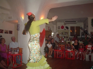 Flamenco  2008 006