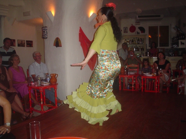 Flamenco  2008 008