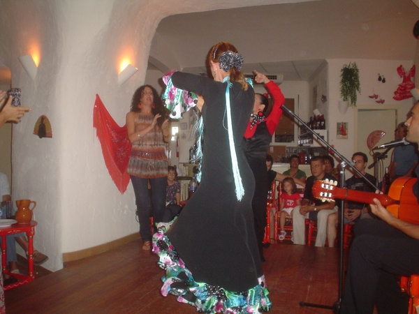 Flamenco  2008 015