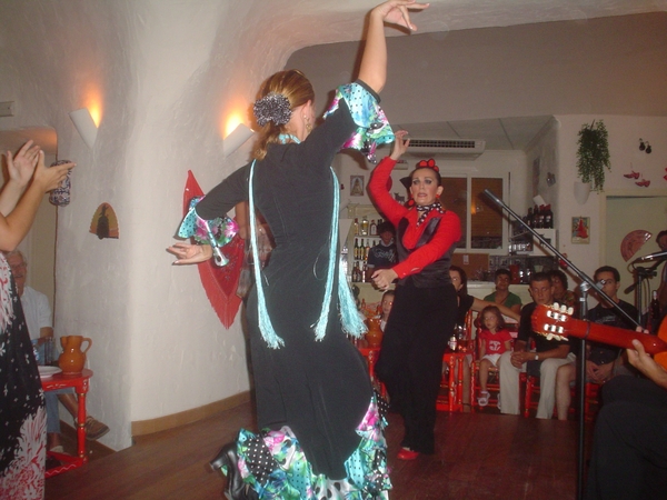 Flamenco  2008 016